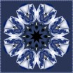 Blume der Nacht